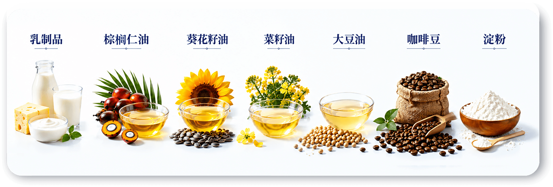 人类健康营养